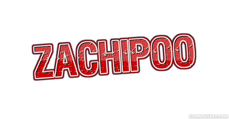 Zachipoo شعار
