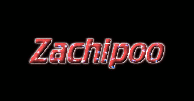 Zachipoo ロゴ