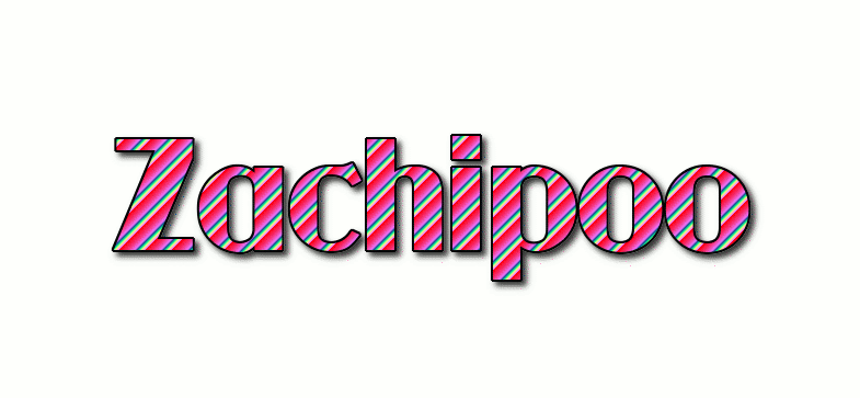Zachipoo Logo
