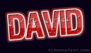 david Logo