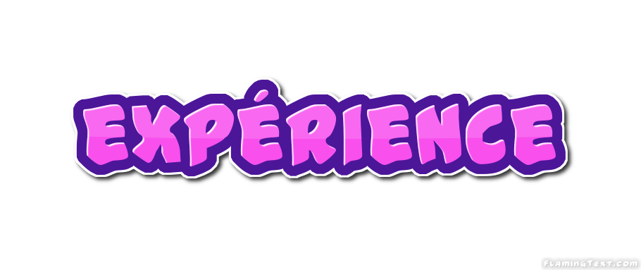 expérience Logo