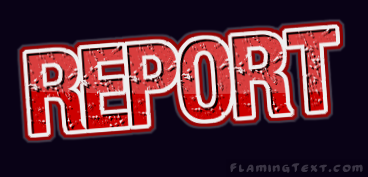 report Logo