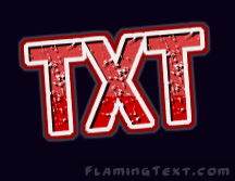 txt Logo